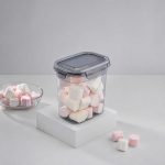 1150 ml Tesny Sızdırmaz Saklama Kabı - Görsel 2