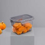 2300 ml Tesny Sızdırmaz Saklama Kabı - Görsel 2